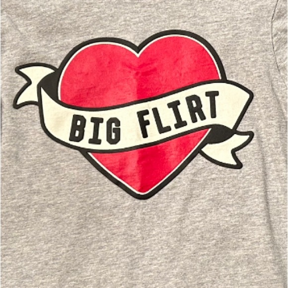 Crazy 8 Boys Size 3T Gray “Big Flirt” Graphic Long Sleeve Tee Shirt - Picture 3 of 4